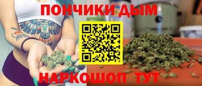 крисы Краснодар