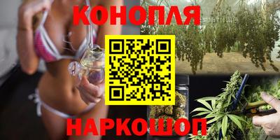крисы Краснодар