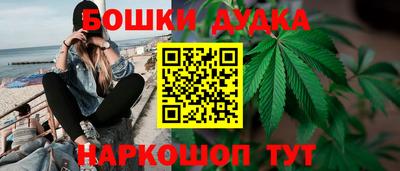 крисы Краснодар