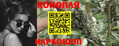 крисы Краснодар