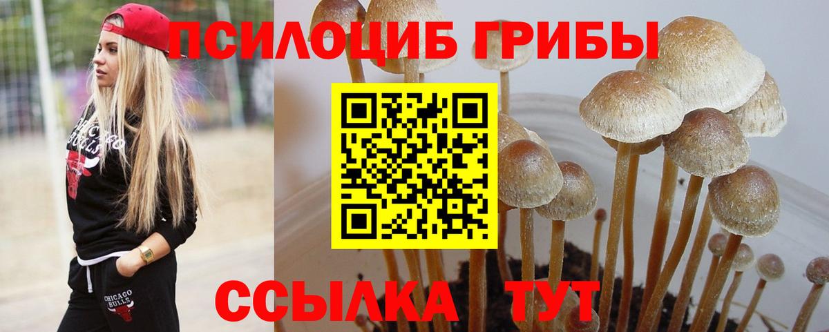 Псилоцибиновые грибы Magic Shrooms Армавир